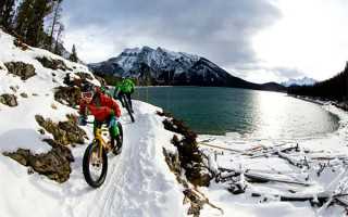 《小美人鱼第一季》免费在线观看高清完整版